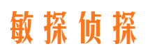 湖南侦探公司